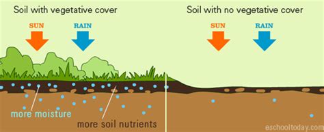 what factors affect soil moisture